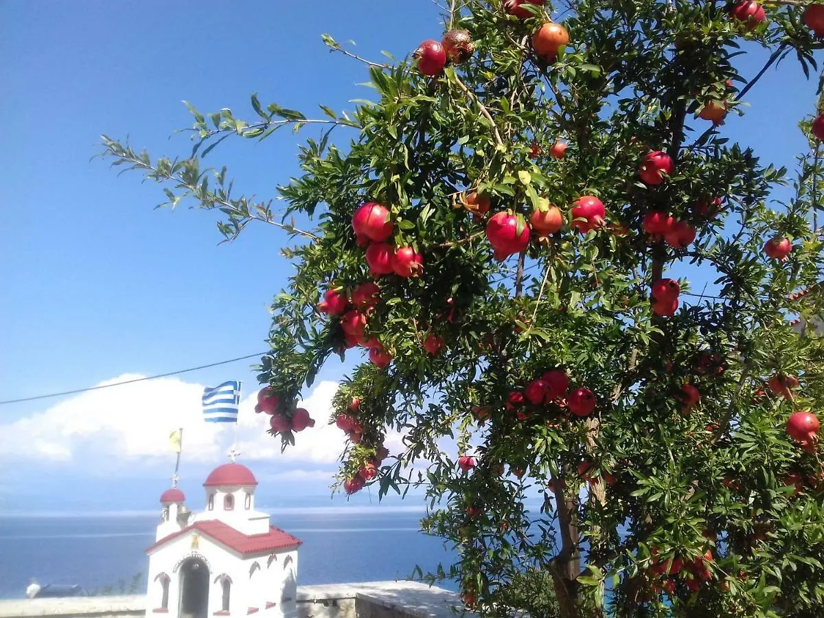 *** Aparthotel Aegean Blue Studios Afytos Greece